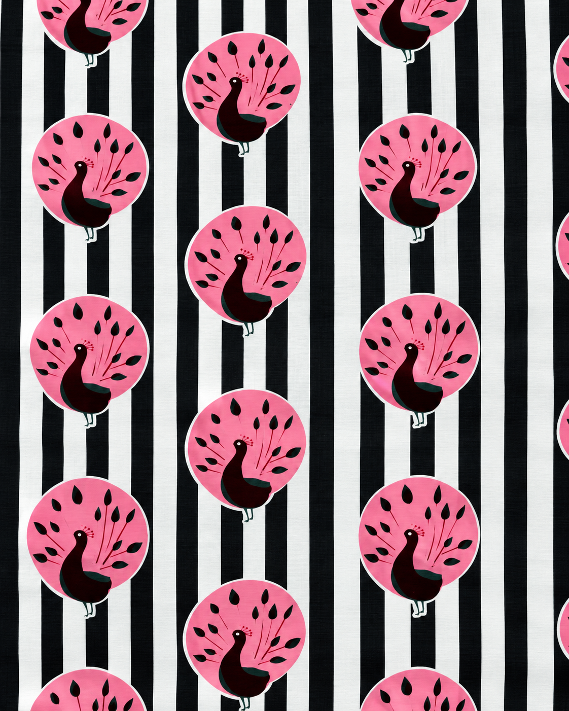 Close-up of pink peacock motifs on black and white striped printed cotton fabric