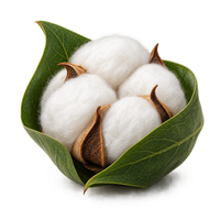 Pure Cotton